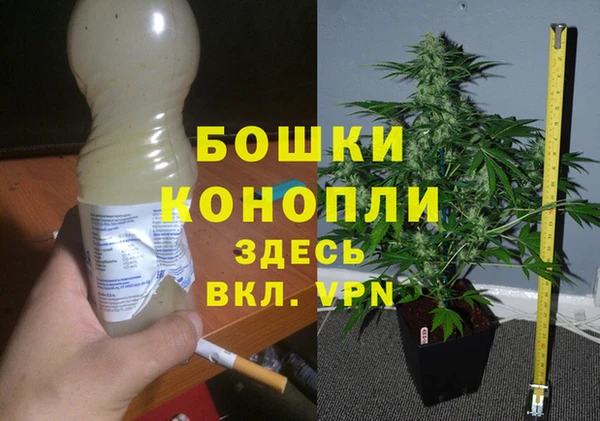 PSILOCYBIN Мегион
