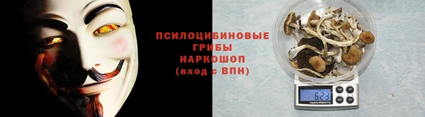 Альфа ПВП Медногорск