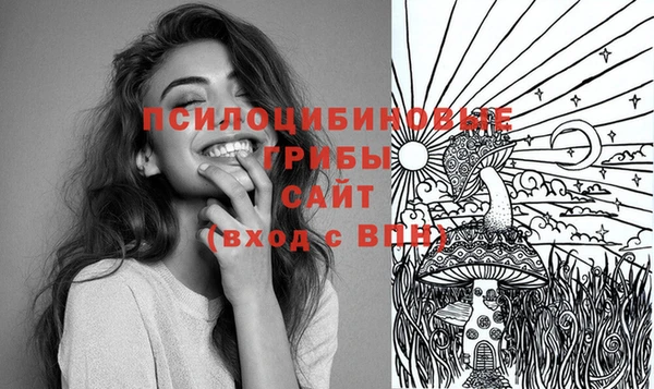 MDMA Медвежьегорск